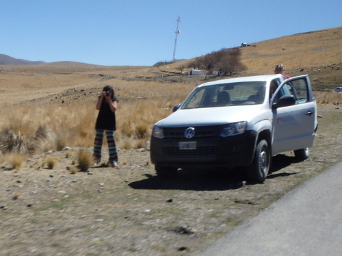 I think that she was timing her picture for the Lamas on the road and us.
